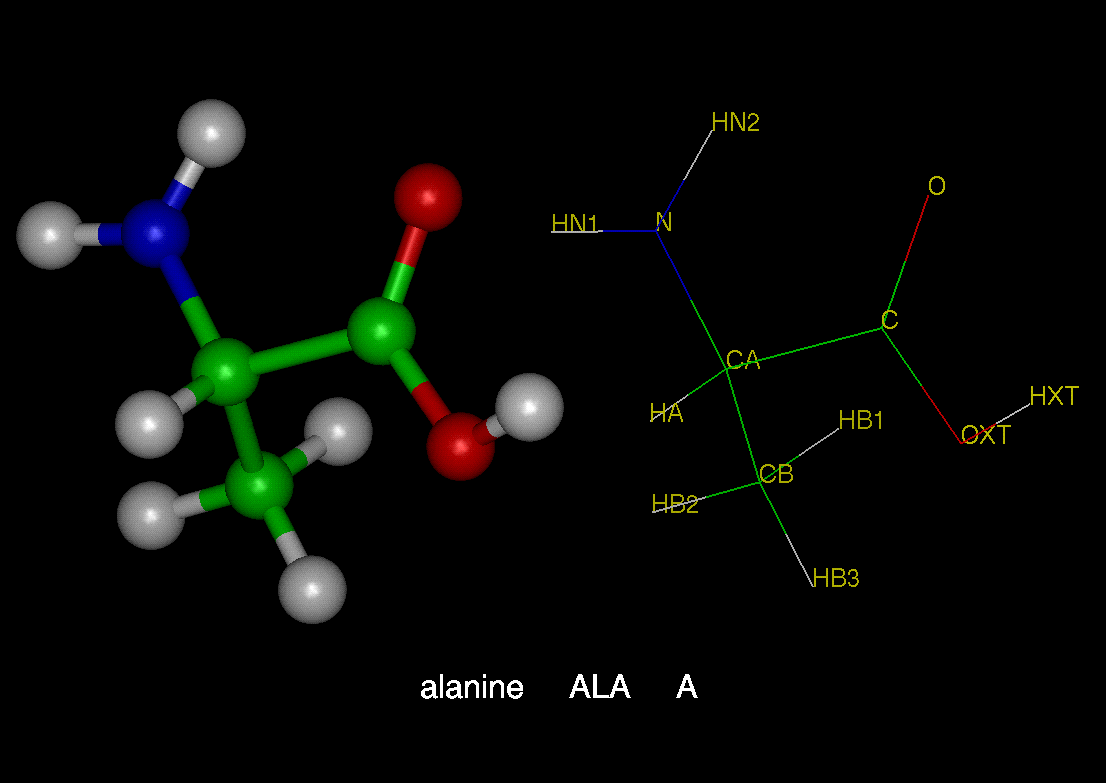 Аланин — алифатическая аминокислота, входящая в состав многих белков и биологически активных соединений. Аланин принадлежит к группе заменимых аминокислот, и легко синтезируется из безазотистых химических соединений, из усваиваемого азота.