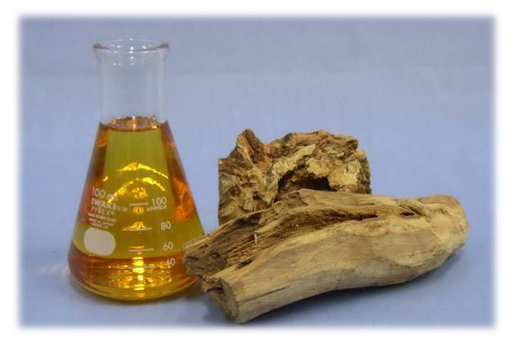 Из древесины сначала получают масло, которое затем используется в парфюмерии. Древесные нотки всегда привносят в парфюм звенящую лесную свежесть и тепло прогретой солнцем древесины